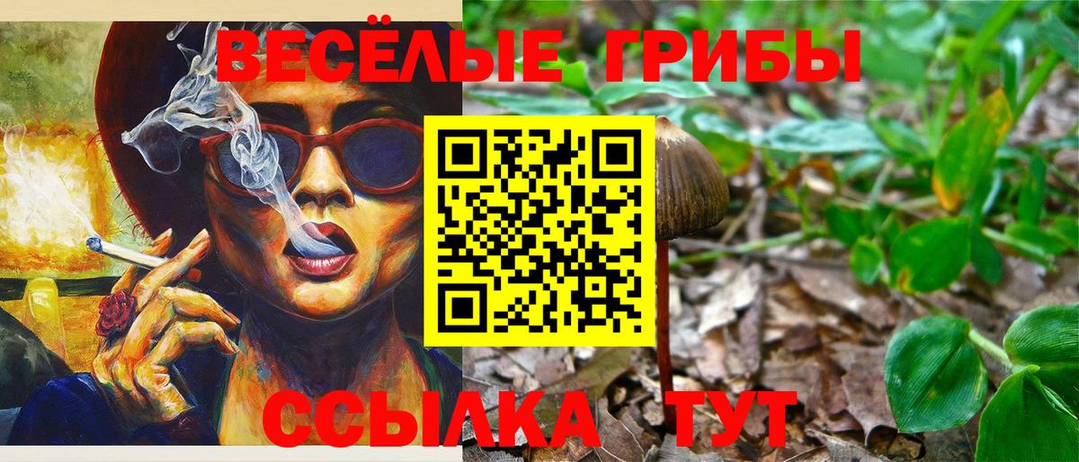 Псилоцибиновые грибы Magic Shrooms  Вход с VPN  Железноводск 