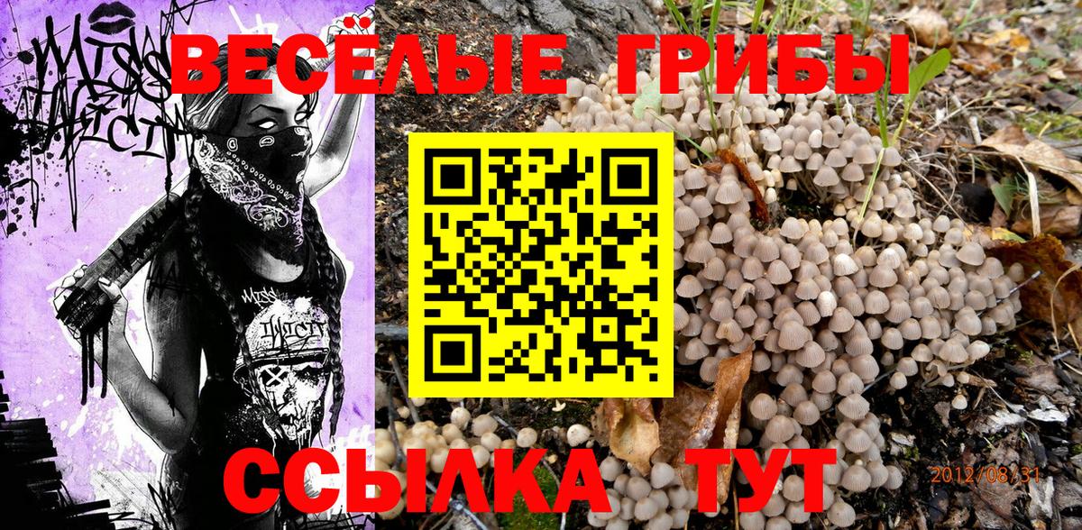 Псилоцибиновые грибы мицелий Железноводск